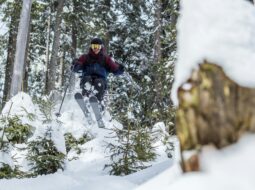 Daniel Walter Hill:Snow Skiing